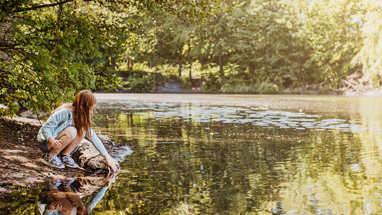 Mölledammarna, ett populärt utflyktsmål året runt.