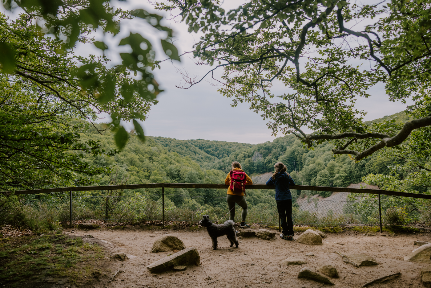Utsikten från Kopparhatten är hisnande året om.